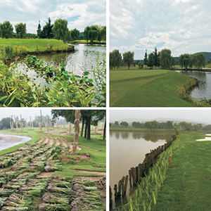 高爾夫球場景觀水系治...